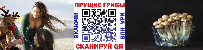 Галлюциногенные грибы мицелий  darknet состав  Александровск 